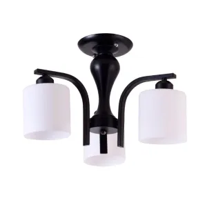 3D Glass Ceiling Lamp - PL 6011-3D
