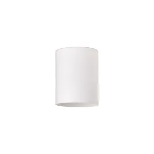 Nelson Lighting NL91019 Iona Shade Opal