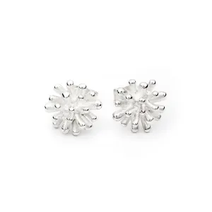 Polydora silver earrings S